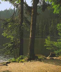 Au bord du Mummelsee (lac)