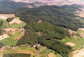 The castle ruin Hohengeroldseck  
seen from above