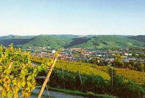 Blick vom Weinanbaugebiet 'Schutterlindenberg' 
auf die Schwarzwaldstadt Lahr